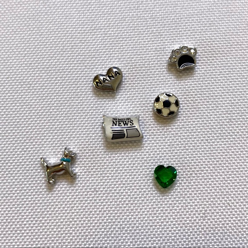 Origami Owl Dog Lover Nana Charm Set